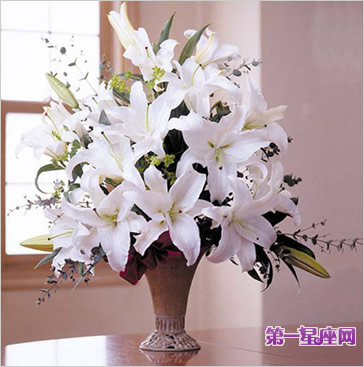 送白百合代表什么意思？