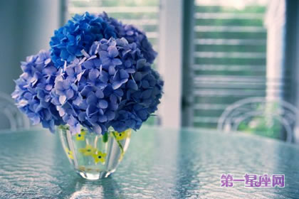 花语大全:风信子的花语是什么