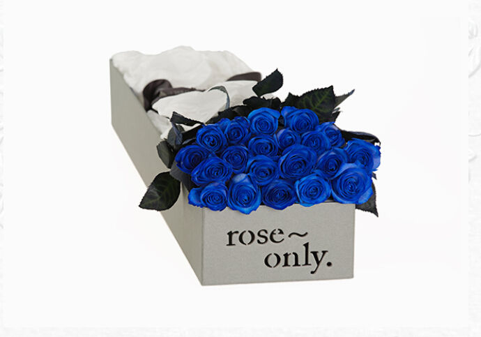 蓝玫瑰花语蓝玫瑰代表什么意思