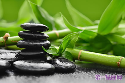 植物花语：竹子的花语是什么？