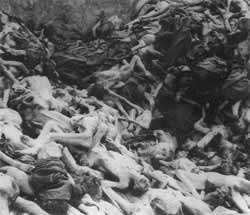 纳粹确定处理犹太人的最后解决方案--种族灭绝